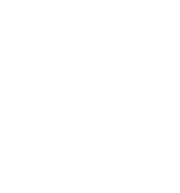 Mero Dog Training